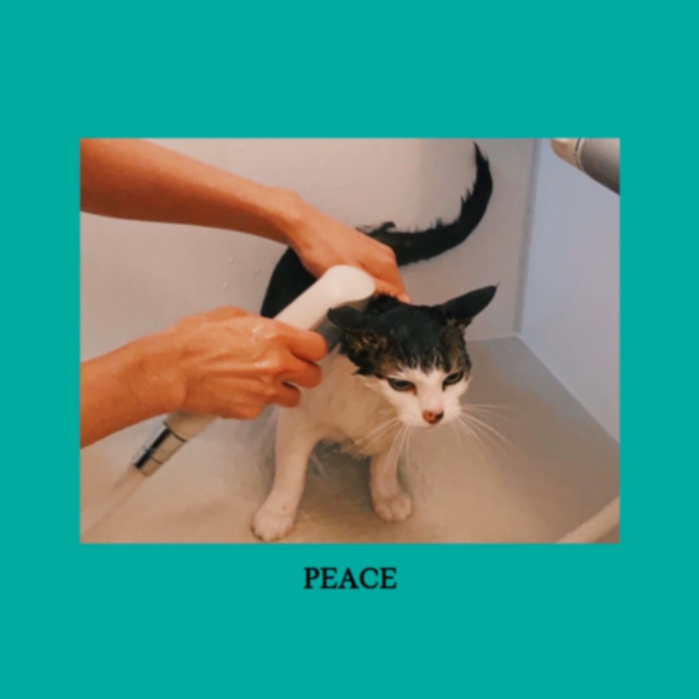 sooogood!  - Digital Single<br>“PEACE”